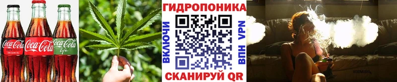 Canna-Cookies конопля  Кисловодск 