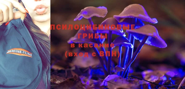 твердый Новозыбков