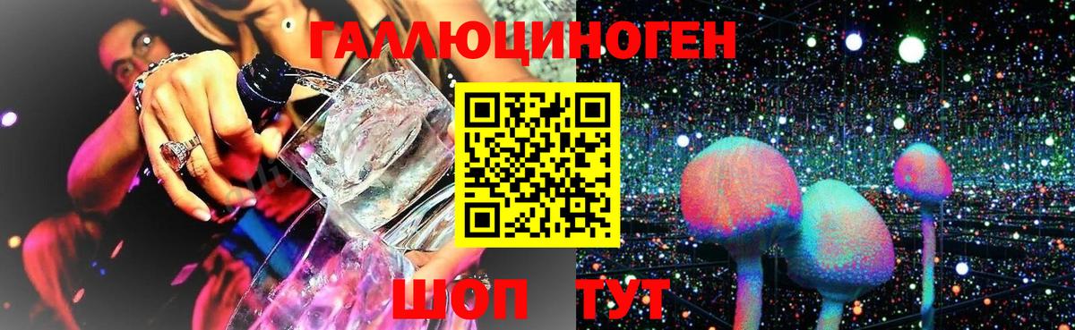 Галлюциногенные грибы прущие грибы  Псилоцибиновые грибы GOLDEN TEACHER  Кисловодск  Вход с VPN 